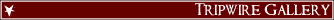 Click Here to visit the Tripwire Gallery